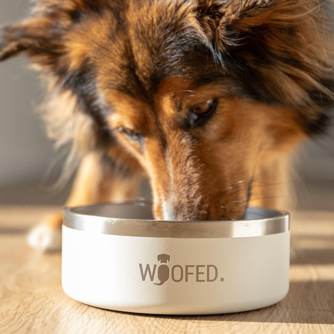 Premium Edelstahlnapf Creamy Beige