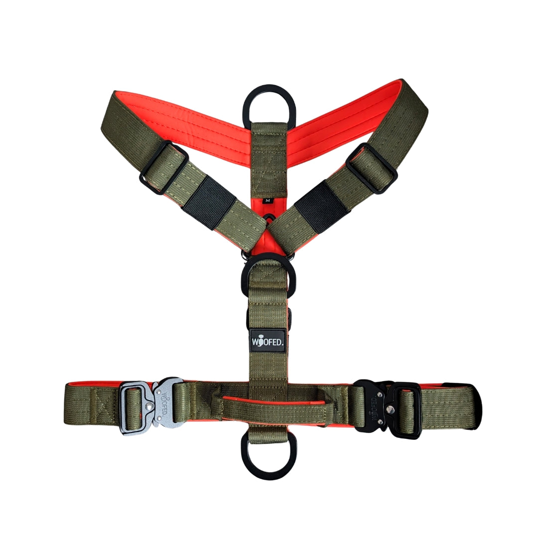 Y-Hundegeschirr 4fach-verstellbar mit Griff und Sicherheitsschnallen Hunter Glow - ultraleicht