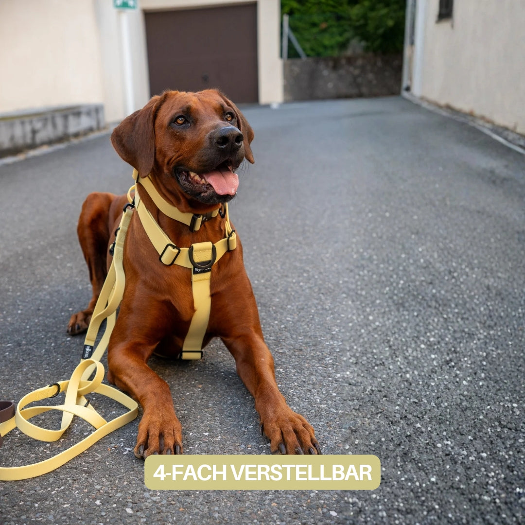 Y-Hundegeschirr WOOFLEX® 4fach-verstellbar mit Griff und Sicherheitsschnallen Lemon Grass - wasserfest