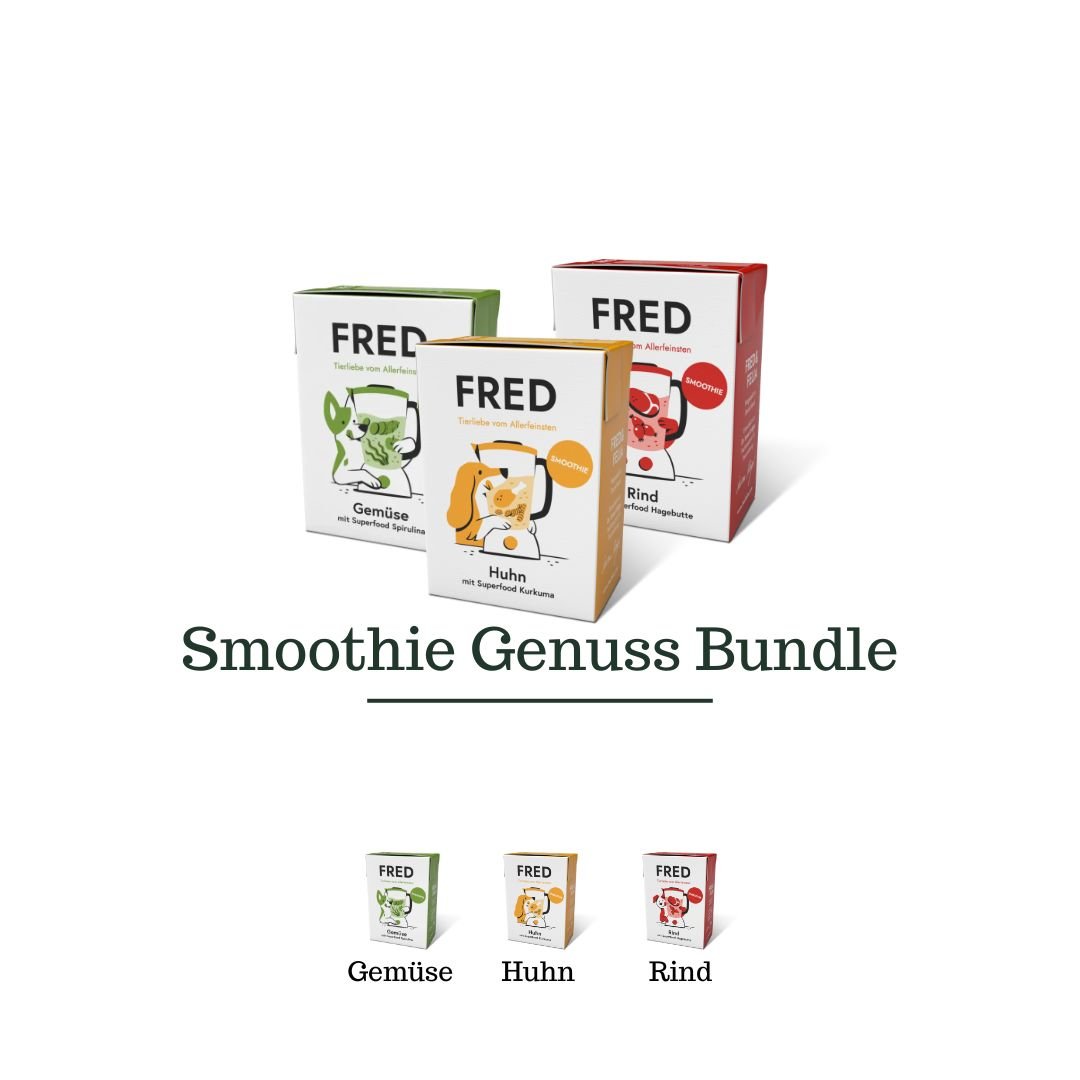 Smoothie Genuss Bundle 3er - WOOFED.