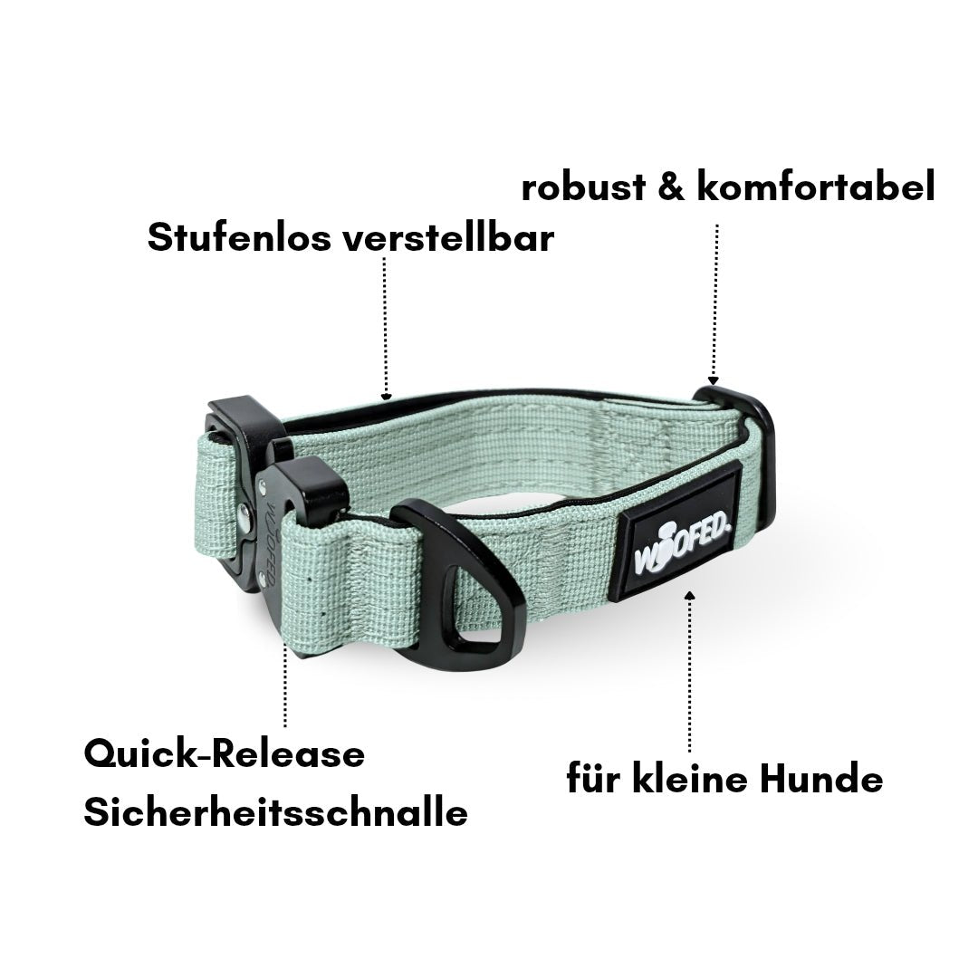 Sagegrünes gepolstertes Nylon‑Halsband, Draufsicht, schwarze Quick‑Release‑Schnalle, D‑Ring und WOOFED‑Label