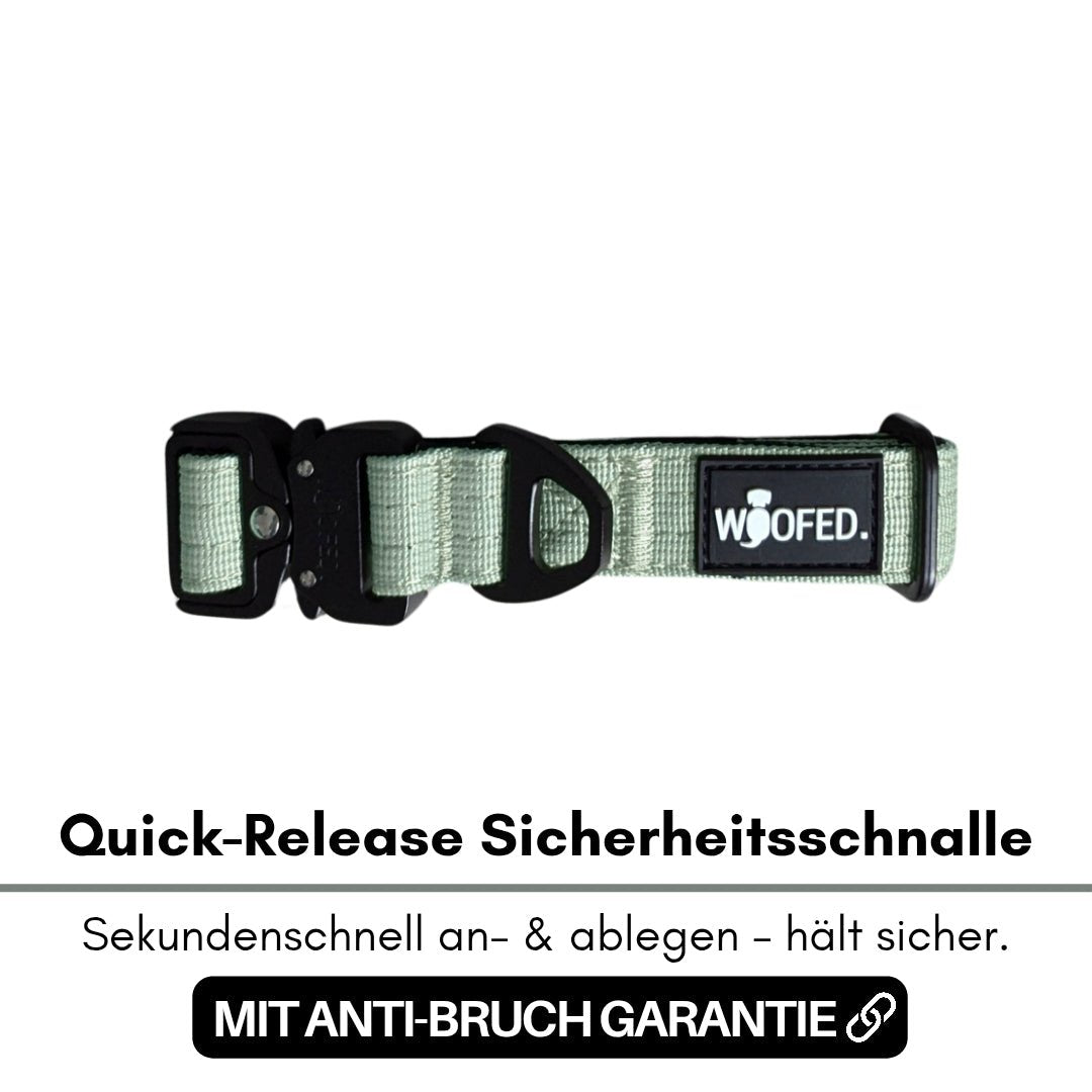 Sage-grünes Nylonhalsband mit schwarzer Quick-Release-Schnalle, D‑Ring und WOOFED-Label, flach auf weißem Hintergrund