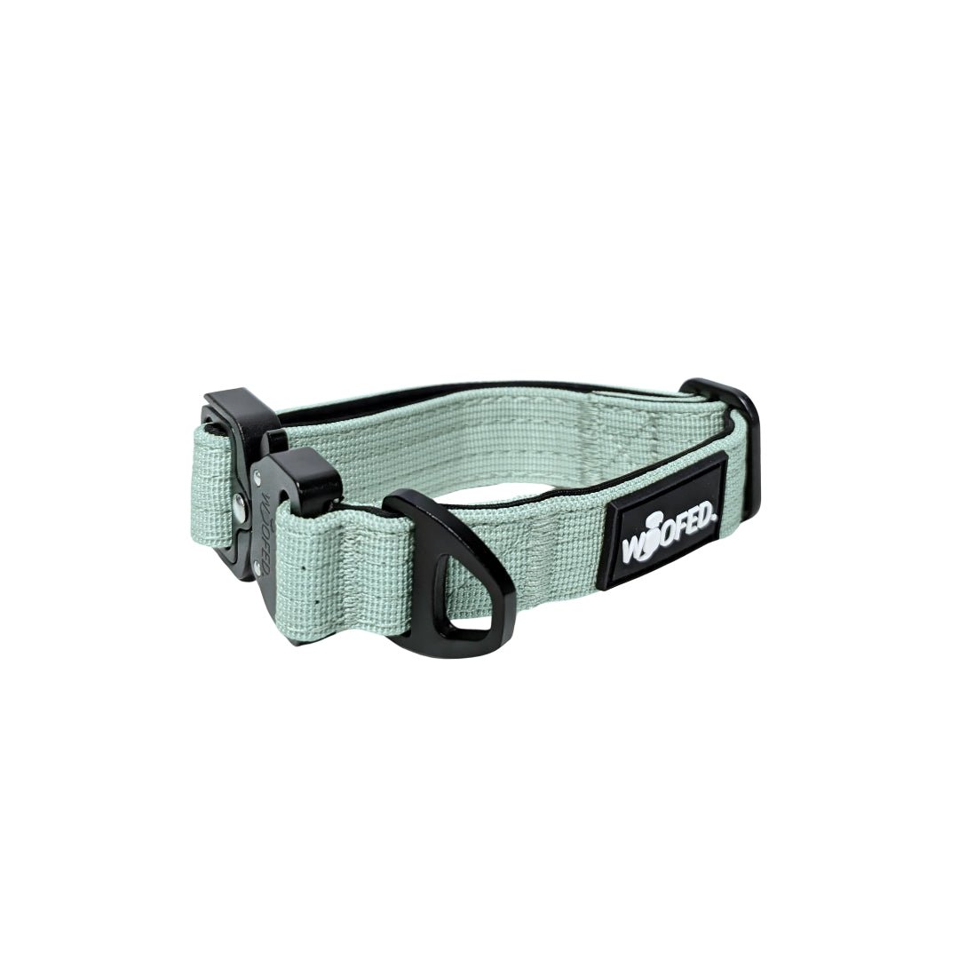 Salbeigrünes Nylon-Hundehalsband mit schwarzen Metallschnallen, D‑Ring und WOOFED-Label, seitliche Nahaufnahme