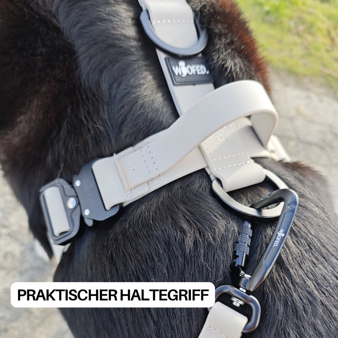 Nahaufnahme Tactical Hundegeschirr in Desert Sand auf schwarzem Hund, Haltegriff, Metall-D-Ring und schwarzer Karabiner