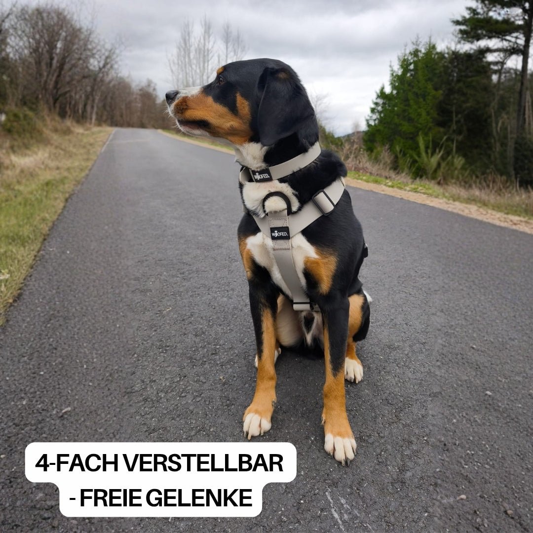 Y - Hundegeschirr WOOFLEX® 4fach - verstellbar mit Griff und Sicherheitsschnallen Desert Sand - wasserfest - WOOFED.