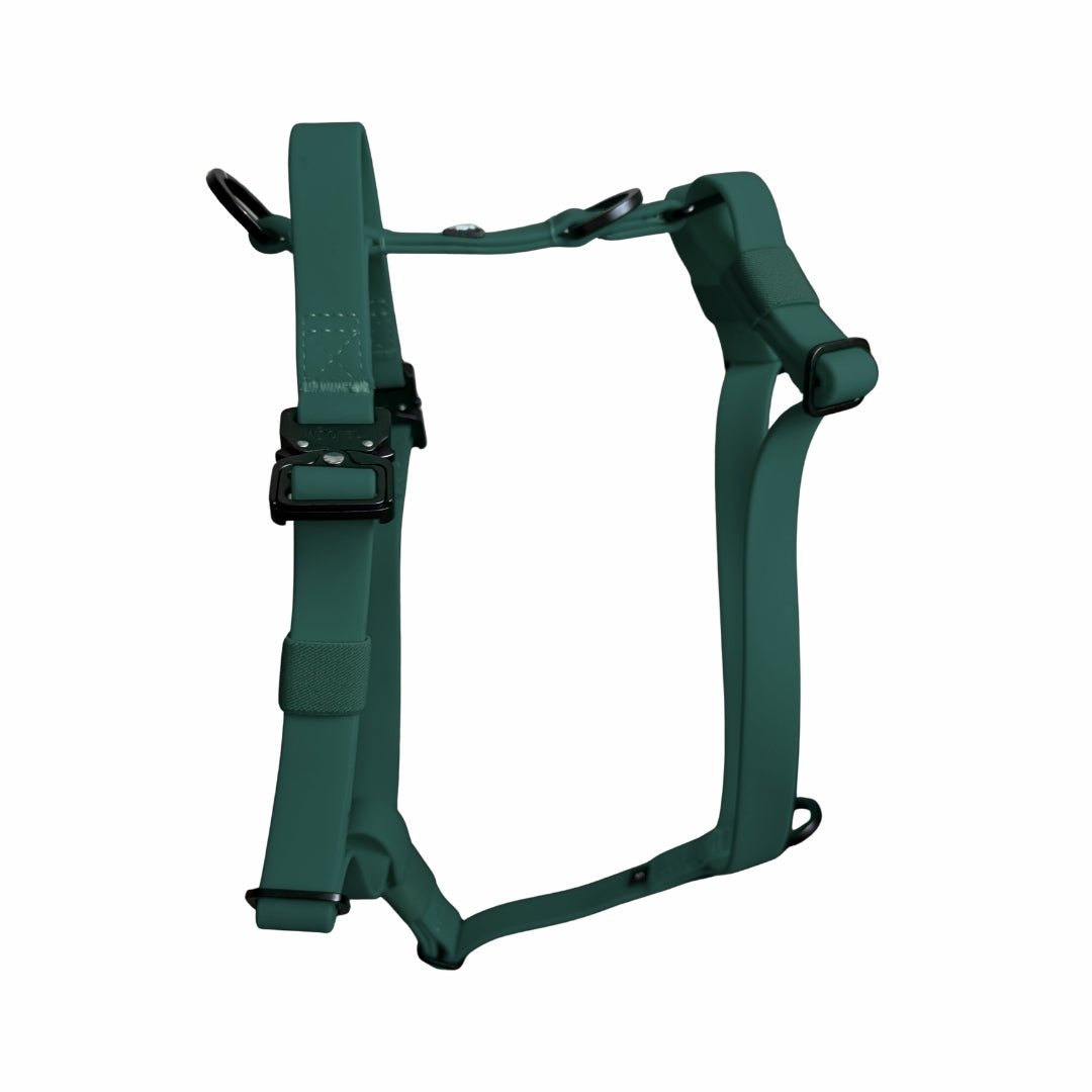 Y‑Hundegeschirr Hunting Green, Y‑Form, verstellbare Riemen, schwarze Metall-Schnallen und Ringe, frontale Ansicht