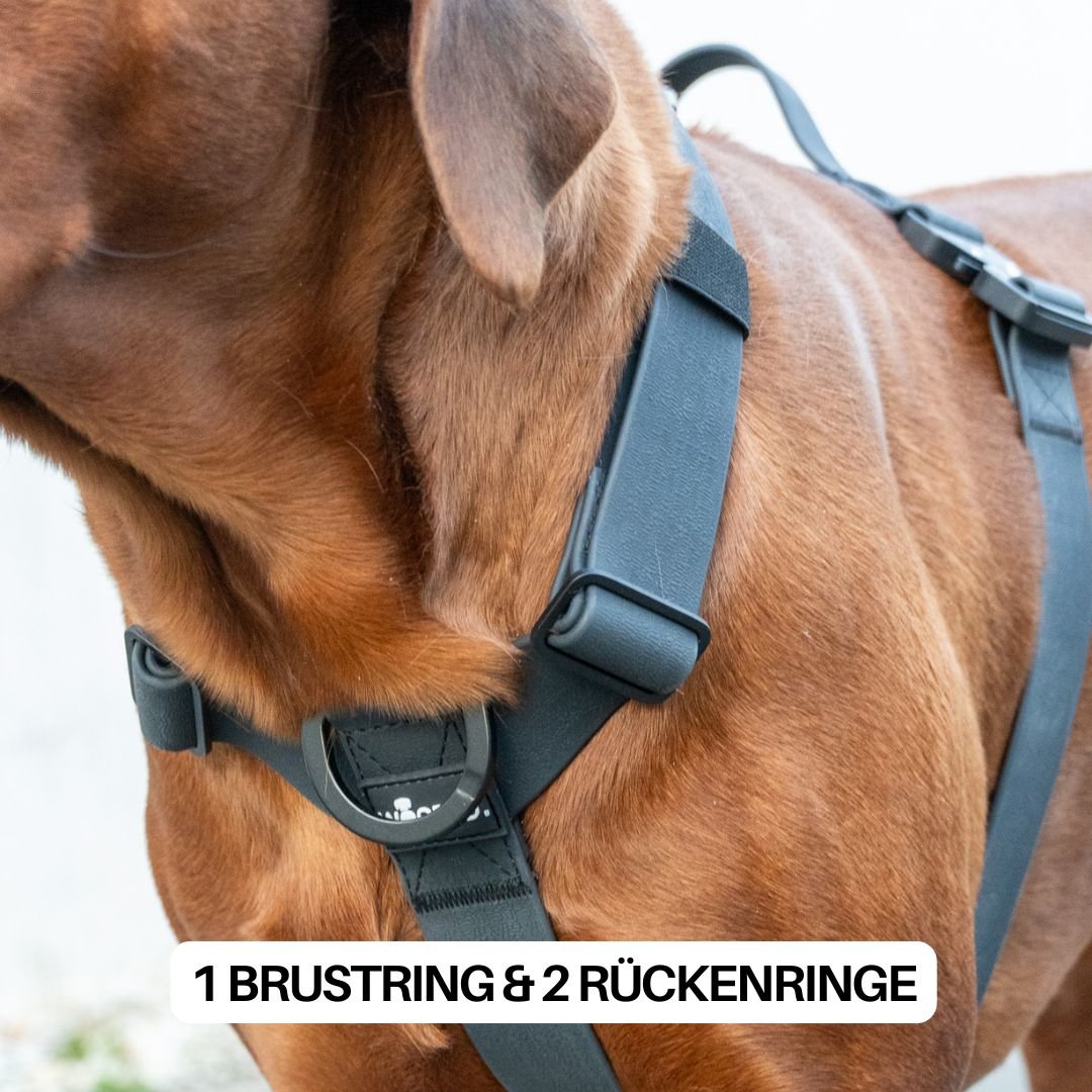 Y - Hundegeschirr WOOFLEX® 4fach - verstellbar mit Griff und Sicherheitsschnallen Phantom Black - wasserfest - WOOFED.