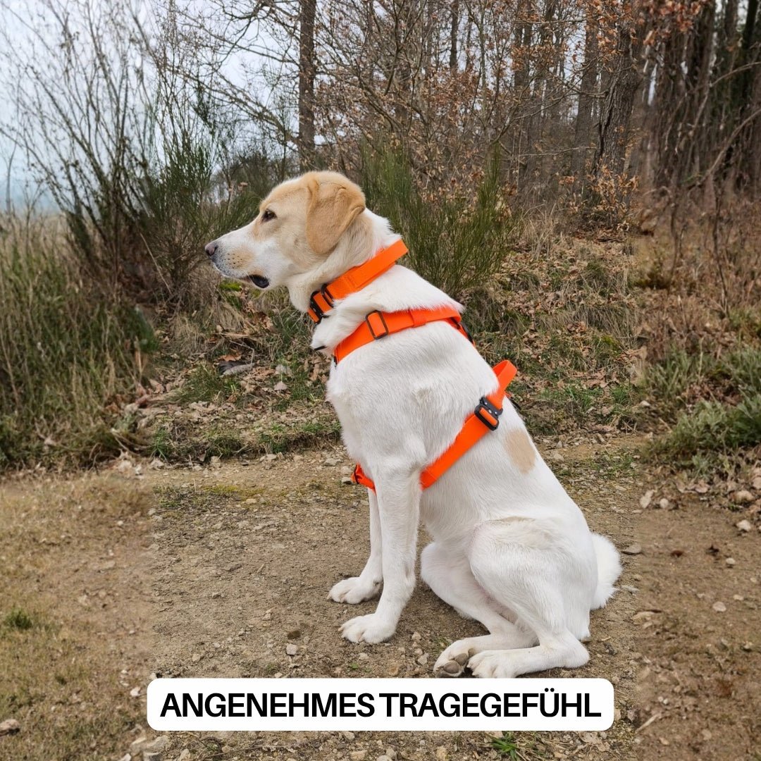Y - Hundegeschirr WOOFLEX® 4fach - verstellbar mit Griff und Sicherheitsschnallen Sunset Orange - wasserfest - WOOFED.