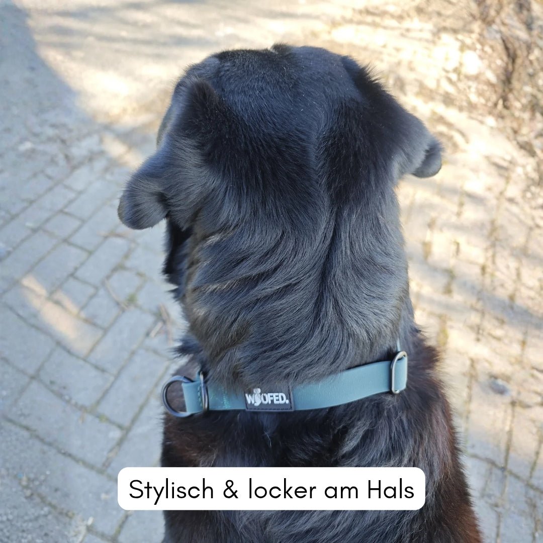 Zugstopphalsband WOOFLEX® Hunting Green - WOOFED.