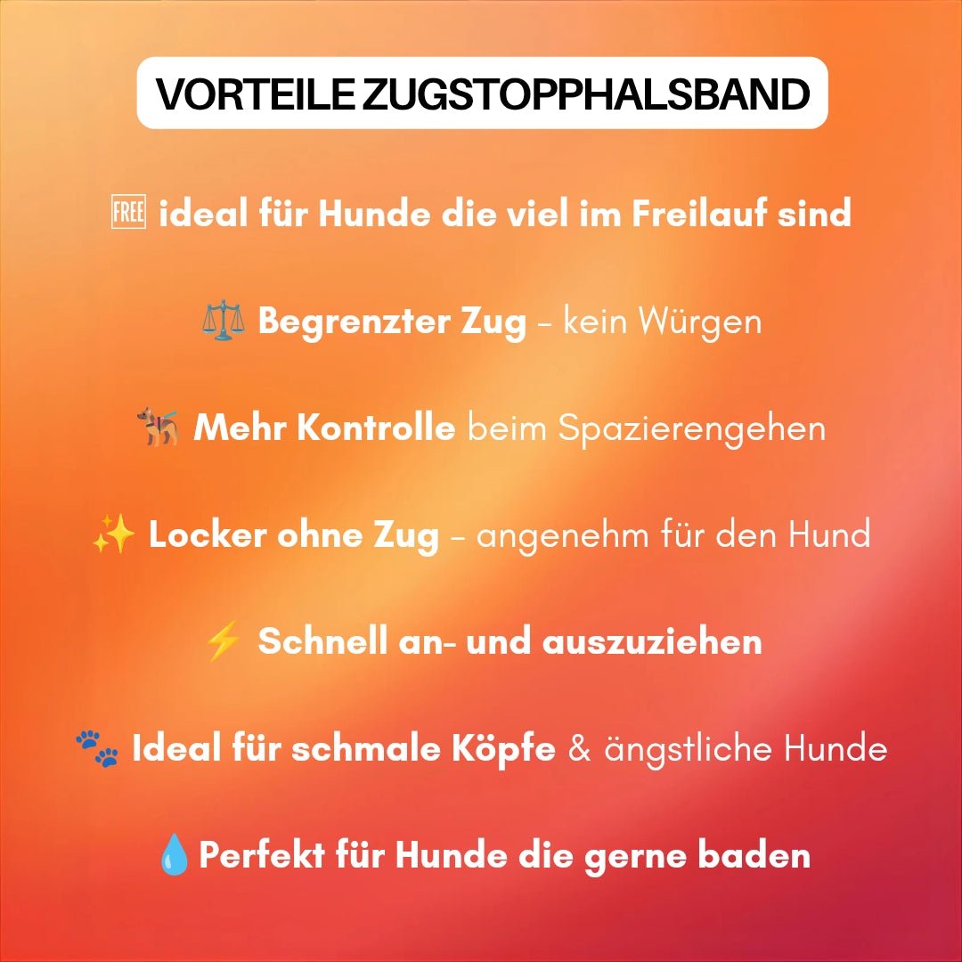 Zugstopphalsband WOOFLEX® Sunset Orange - WOOFED.