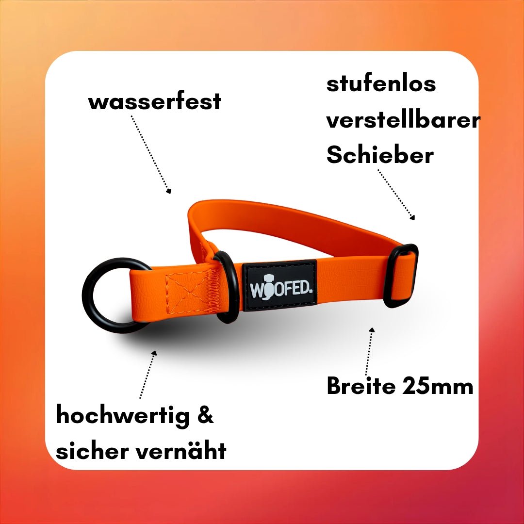 Zugstopphalsband WOOFLEX® Sunset Orange - WOOFED.