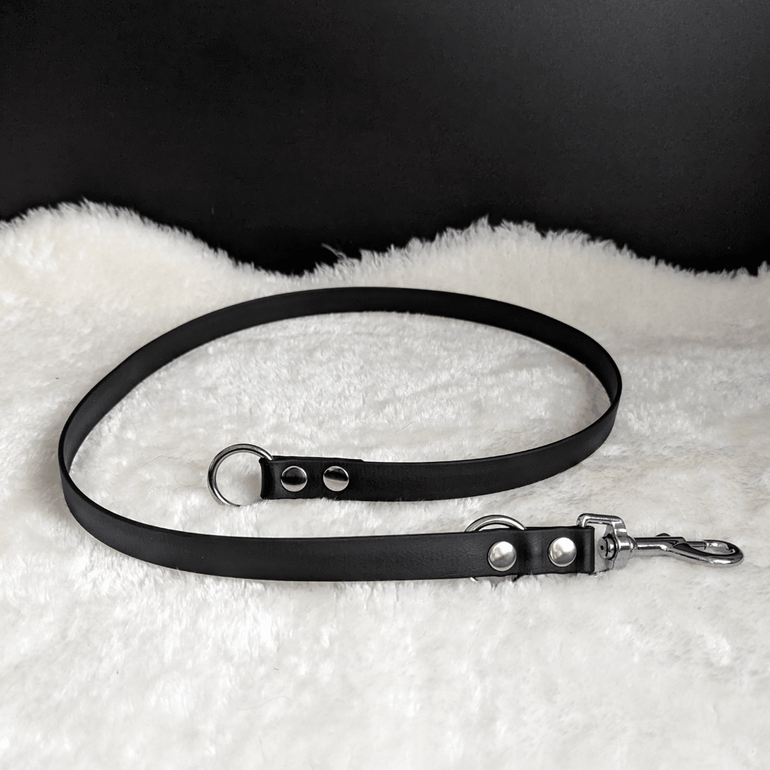 BioThane Leash Extender